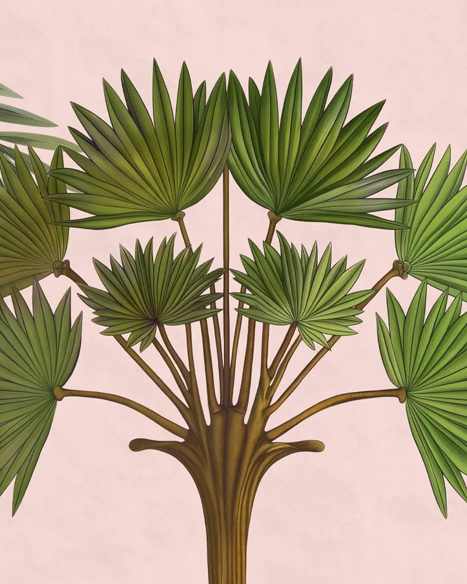 Chitran Pichwai Style Wallpaper Designed for walls Pink Color - Marble Lotus - Chitran Pichwai Style Wallpaper Designed for walls Pink Color