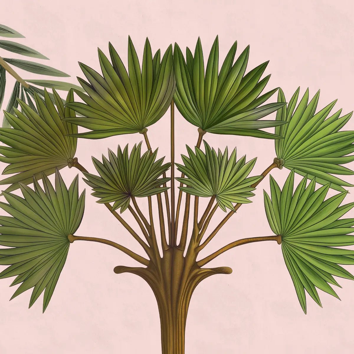 Chitran Pichwai Style Wallpaper Designed for walls Pink Color - Marble Lotus - Chitran Pichwai Style Wallpaper Designed for walls Pink Color