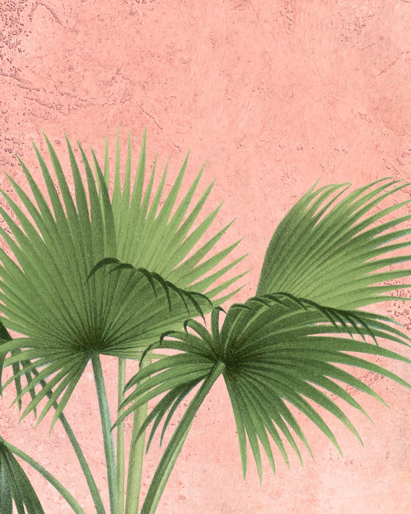 Fascinating Enchantment, Luxury Wallpaper for Rooms, Customised - Marble Lotus - Fascinating Enchantment, Luxury Wallpaper for Rooms, Customised