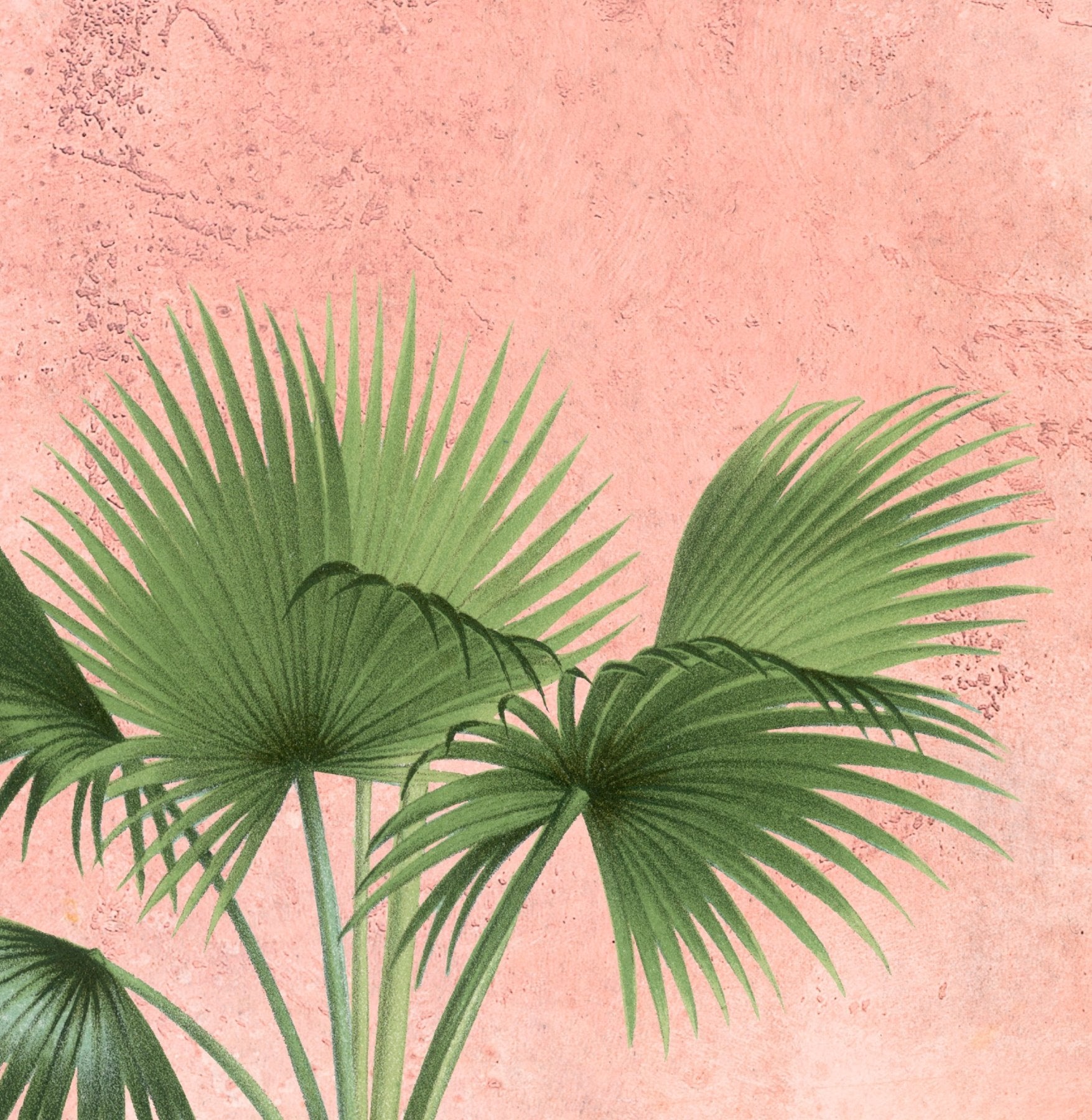 Fascinating Enchantment, Luxury Wallpaper for Rooms, Customised - Marble Lotus - Fascinating Enchantment, Luxury Wallpaper for Rooms, Customised