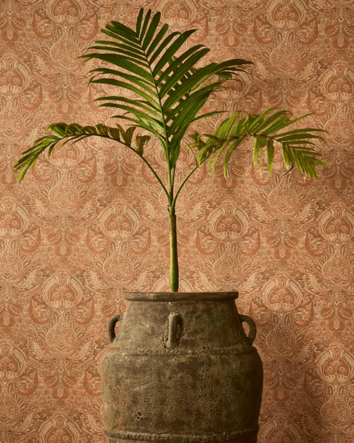 Florentine Damask - Marble Lotus - Florentine Damask
