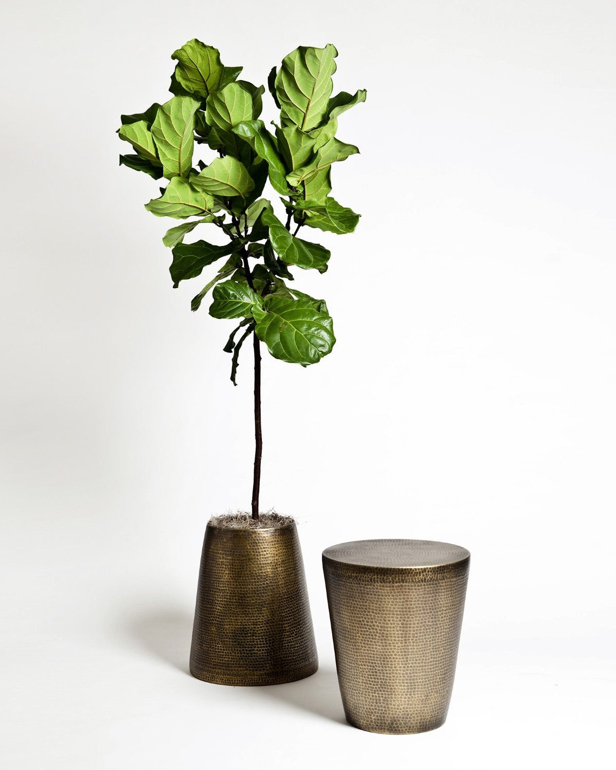 Izmir Hammered Brass Side Table - Marble Lotus - Buy Hammered Brass Side Table | Marble Lotus