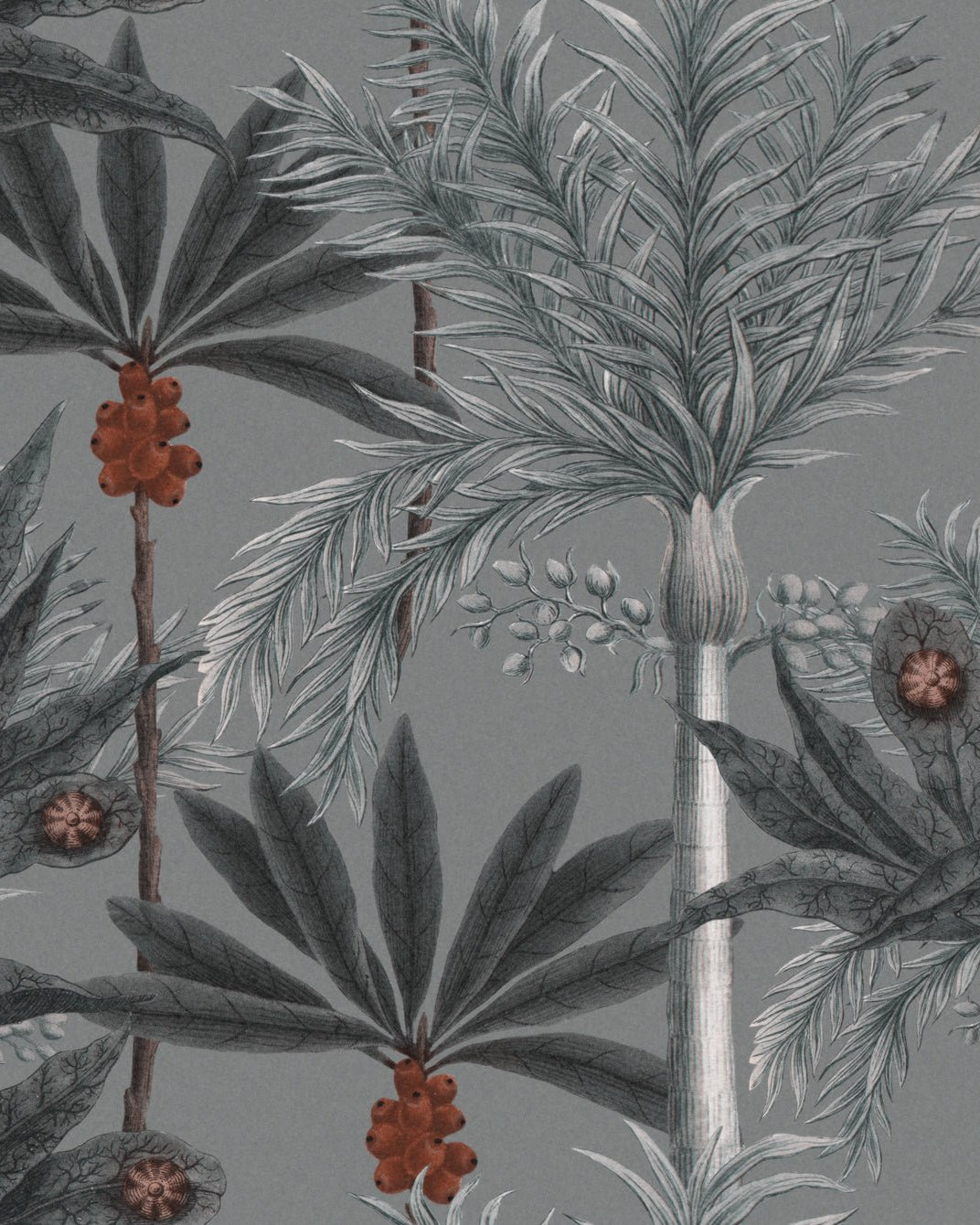 MADAGASCAR Grey - Marble Lotus - MADAGASCAR Grey