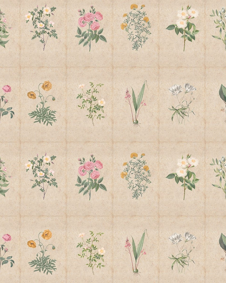 Mehek, Botanical Rendition Room Wallpaper - Marble Lotus - Buy Mehek Botanical Rendition Room Wallpaper | Marble Lotus