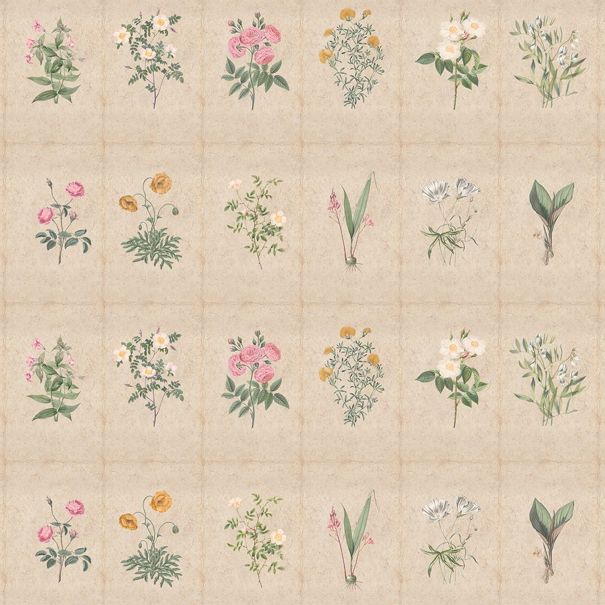 Mehek, Botanical Rendition Room Wallpaper - Marble Lotus - Buy Mehek Botanical Rendition Room Wallpaper | Marble Lotus