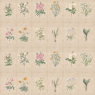 Mehek, Botanical Rendition Room Wallpaper - Marble Lotus - Buy Mehek Botanical Rendition Room Wallpaper | Marble Lotus
