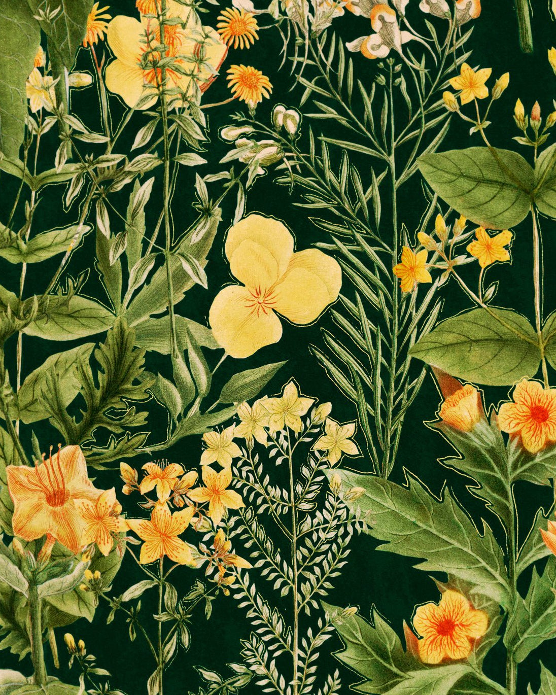 MIMULUS Anthracite - Marble Lotus - MIMULUS Anthracite