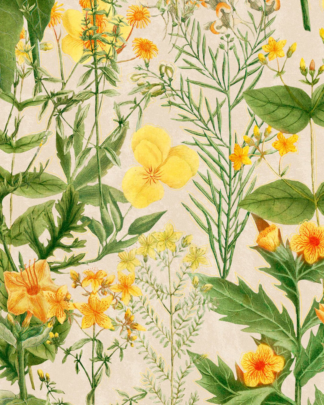 MIMULUS - Marble Lotus - MIMULUS