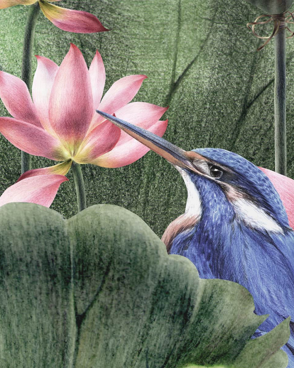 Padma, A Beautiful Lotuses Wallpaper for Walls - Marble Lotus - Padma, A Beautiful Lotuses Wallpaper for Walls