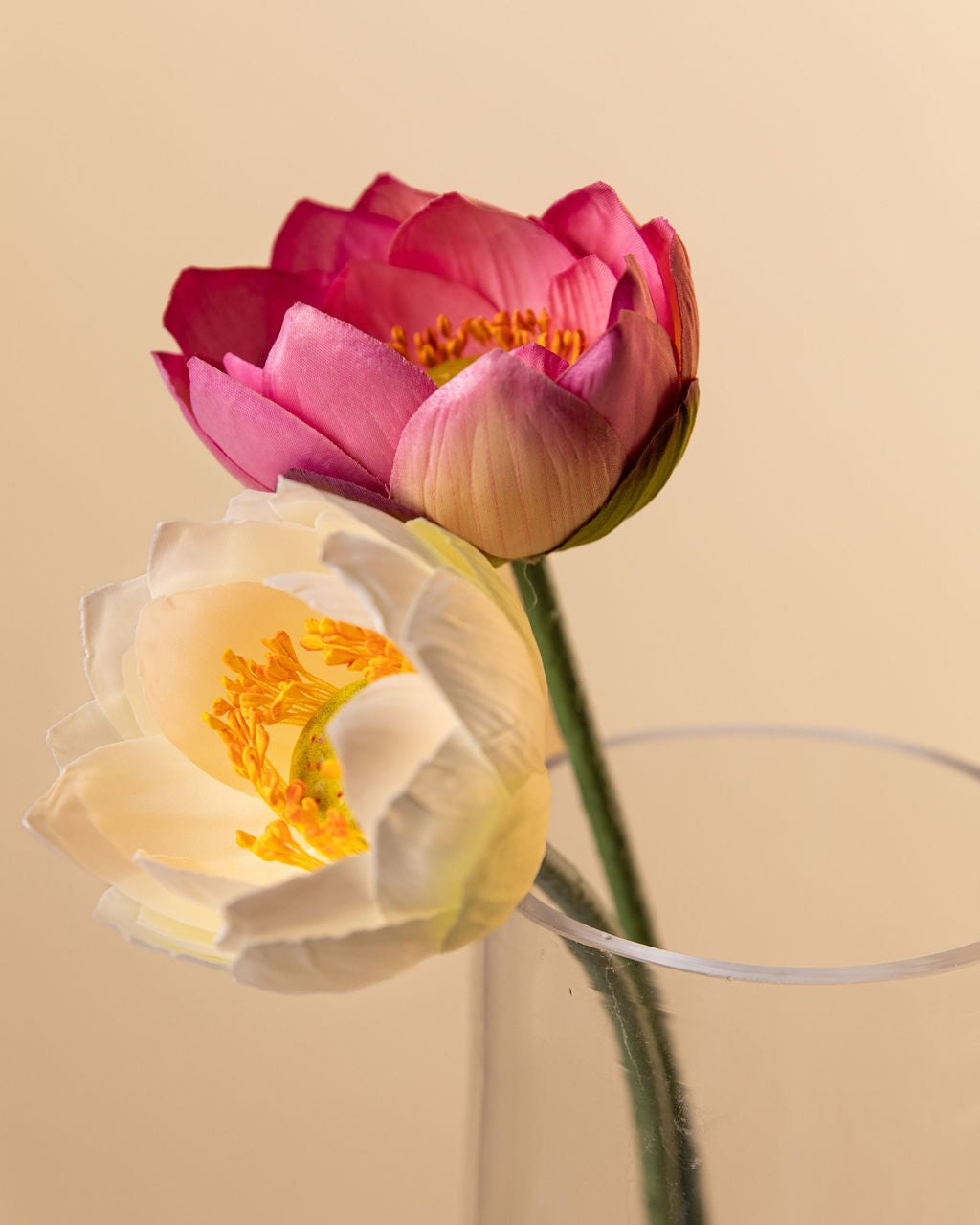 Pink Lotus Flower Stem Open - Single - Marble Lotus - Open Lotus Flower Stem