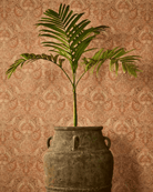 Florentine Damask - Marble Lotus - Florentine Damask