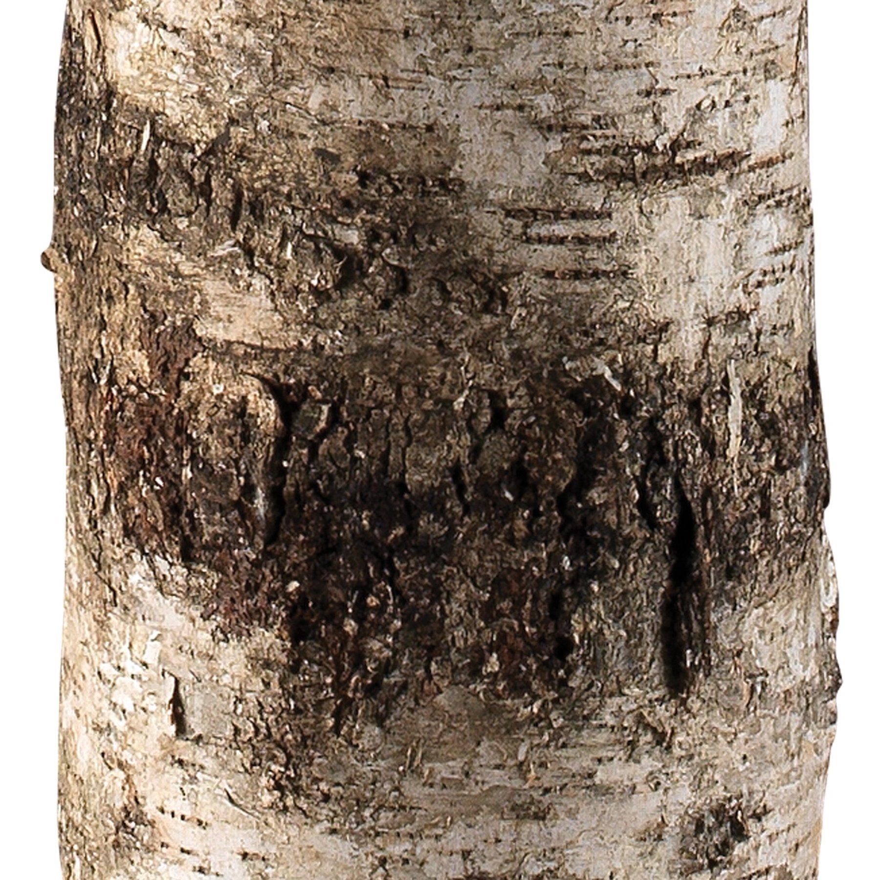 Forrester Floor Lamp - Marble Lotus - Forrester Floor Lamp