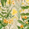 MIMULUS - Marble Lotus - MIMULUS