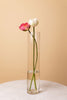 Pink Lotus Flower Stem Open - Single - Marble Lotus - Open Lotus Flower Stem