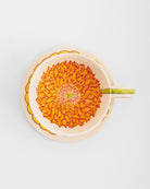Tea Cup and Saucer Large Marigold - Marble Lotus - Tea Cup and Saucer Large Marigold
